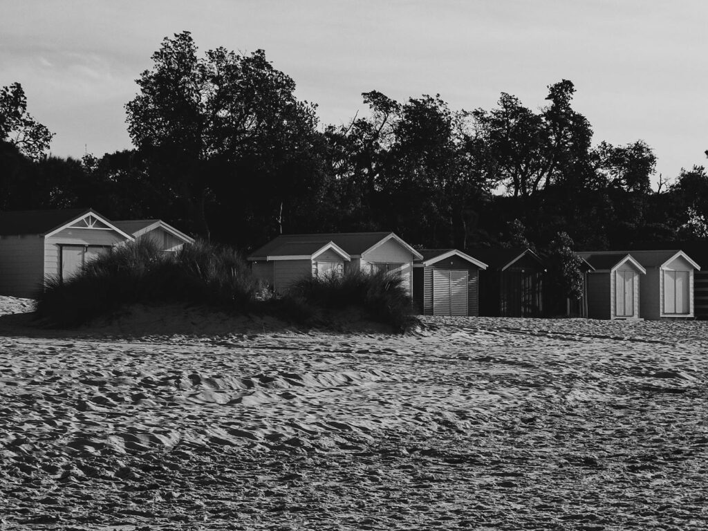 Monochrome image of beach huts on a sandy shore with trees in the background.